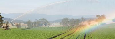 Tasmanian irrigation